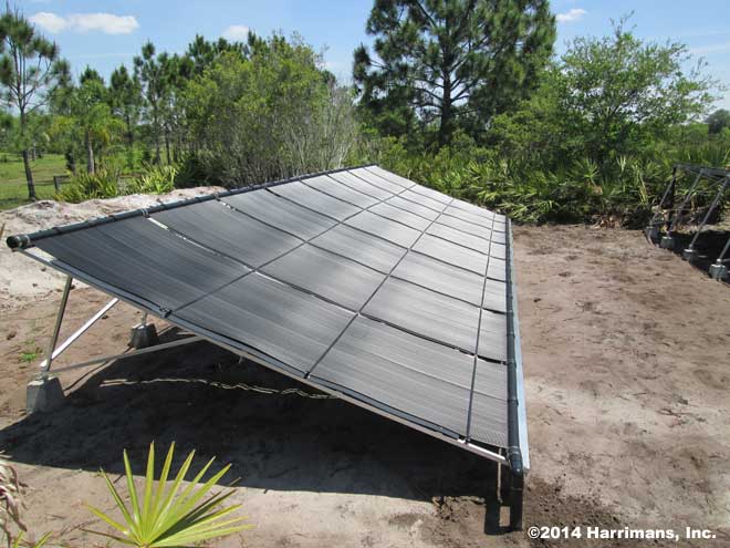 Ground Mount Pool Solar Installation in Progress